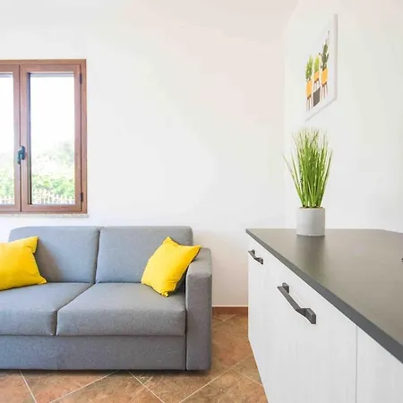 Apartment Near The New